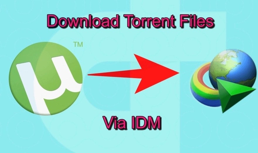 Torrent turnitin software